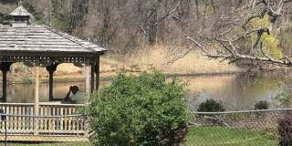 238 artist lake drive Gallery 23
