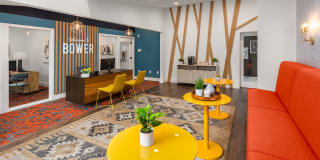 Bower Village Gallery 23
