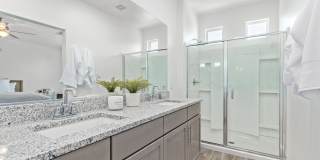 Annex at Cadence Gallery 21