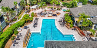 Beautiful 2BR Condo in Desirable Courtney Palms Gallery 3