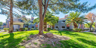 Bloom Apartment Homes Gallery 64