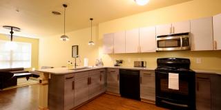 Settlement Place Gallery 109