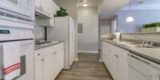 The Saulet Gallery 2