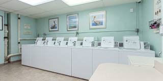 Calverton Gallery 17