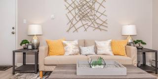 Fitz on 14th Gallery 2