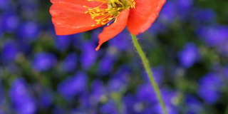 111 S Sixth Street Gallery 62