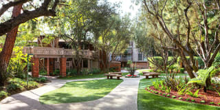 The Meadows Apartment Homes Gallery 16