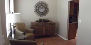 NIce Home Gallery 7