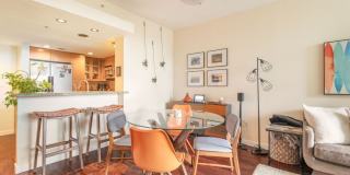 13700 Marina Pointe Dr Gallery 5