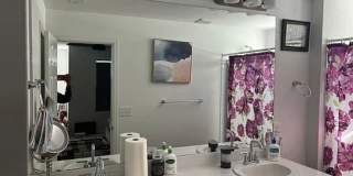 Charming 3BR House in Parker Gallery 10