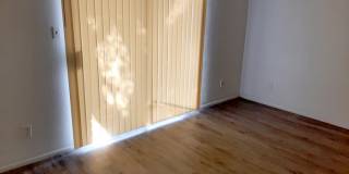 2242 West Morten Avenue Gallery 4