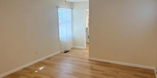 Beautiful 4 Bedroom Home in Hyder Park Gallery 11