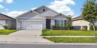 537 TALISI Loop Gallery 1