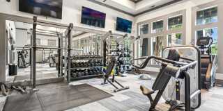 The Standard Gallery 31