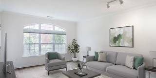 Avalon Rockville Centre Gallery 15