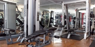 The Woodward Gallery 60