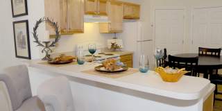 Redwood Valley City Gallery 9