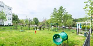 Dominion Middle Ridge Gallery 21