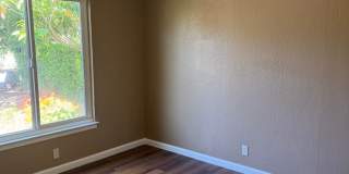 3 BR/1BA | Newly Renovated Single Family Home | 1-Car Covered Parking | Large backyard Gallery 9