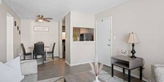 Diamond Lake Gallery 5