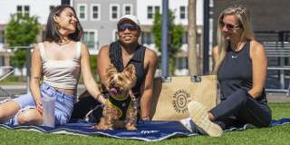 Springside Apartments Gallery 12