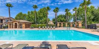 42942 Avenida Amistad Gallery 33
