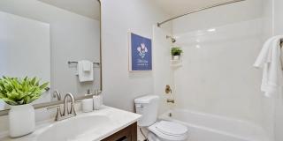 447 Oak Ave Gallery 9