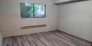 17219 Gravenstein Rd Gallery 21