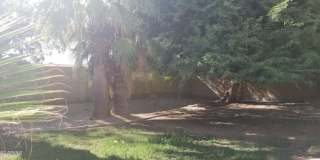 13812 S 36th Way Gallery 17