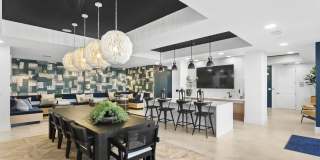 Arabelle Clearwater Gallery 9