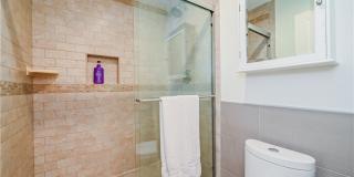 15 Camphor S Gallery 11
