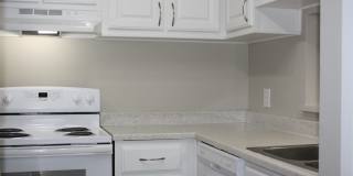 Cobblestone Village Gallery 6