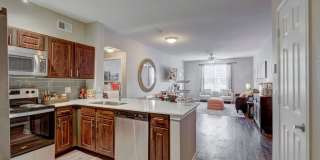 Creekside at Highlands Ranch Gallery 6