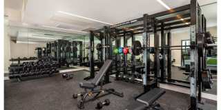 The DeMilo Gallery 5