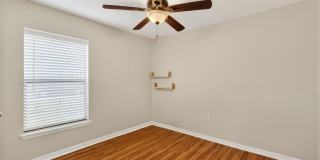 Available June 15th! 3BR Home in Tavares with Huge Backyard Gallery 20