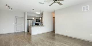 RIZE at Winter Springs Gallery 104