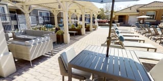 Avalon Willow Glen Avalon Willow Glen Gallery 17