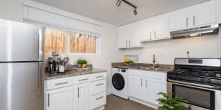 2246-2250 Clarkson Gallery 1