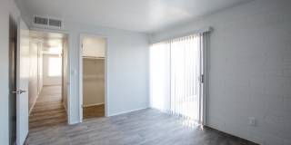 Icon on Stella Gallery 7