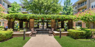 Alma on Maple Gallery 29