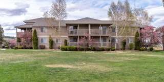 Native Sun Gallery 20