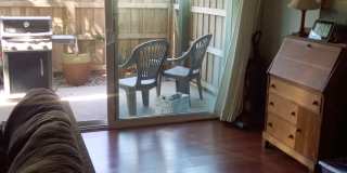 3700 Dean Drive Gallery 3