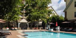 Avalon at Chestnut Hill Gallery 38