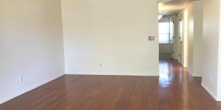 7800 N Nicole Place Gallery 35