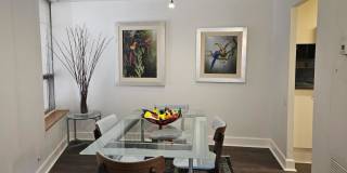 110 East Delaware Place Gallery 11