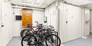 Forestry Court Gallery 22