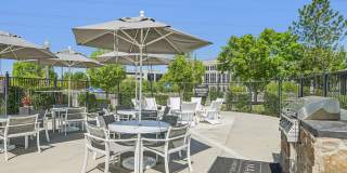 Maison's Landing Gallery 6