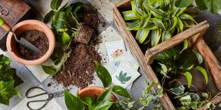 The Lockwood Gallery 76