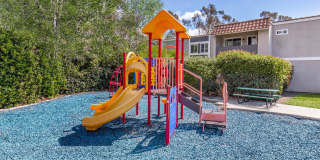 Ocean Vista Gallery 11