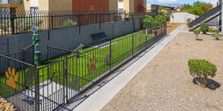 SITE Fifty55 Gallery 14